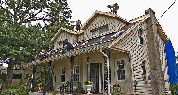 Best Roof Gutter Cleaning  in Allen, TX